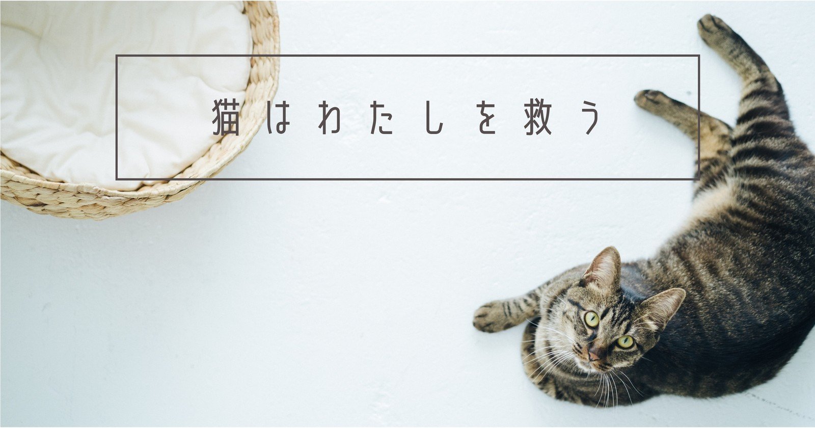 2ページ - 猫イラスト・画像・無料テンプレート - Canva